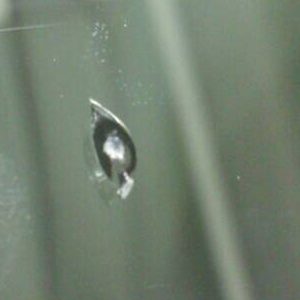 トヨタノアのガラス補修